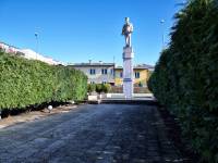 Pomnik Marynarza w Międzyzdrojach