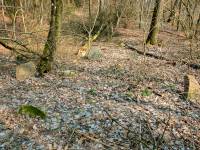 Cmentarz żydowski w Drohiczynie