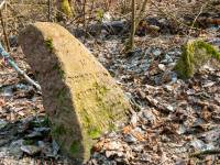 Cmentarz żydowski w Drohiczynie