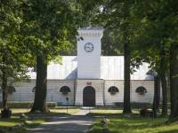 Janów Podlaski z koni słynący