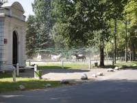 Janów Podlaski z koni słynący