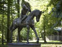 Janów Podlaski z koni słynący