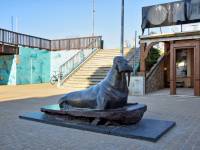 Pomnik morsa w Mielnie