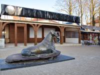 Pomnik morsa w Mielnie