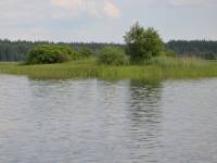 Zwierzyniec na Roztoczu