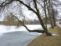 Zwierzyniec na Roztoczu