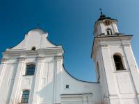 Kościół Wniebowzięcia NMP w Drohiczynie