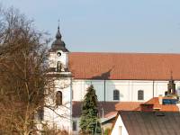 Kościół Wniebowzięcia NMP w Drohiczynie