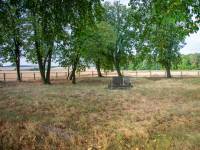  Cmentarz wojenny w Młodziejowie