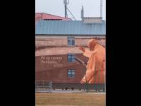 Papieski mural w Drohiczynie