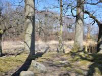 Leśna Pętla Przygód i Tajemnic w Mielnie