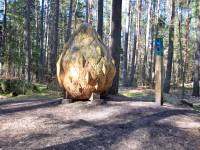 Leśna Pętla Przygód i Tajemnic w Mielnie