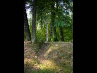 Cmentarz Wojskowy w Dąbrowie Tarnawackiej