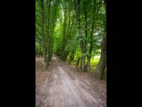 Zespół dworsko-parkowy w Świerżach