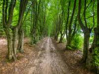 Zespół dworsko-parkowy w Świerżach