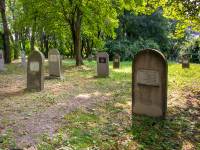 Cmentarz Żydowski w Chełmie