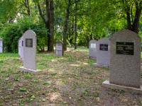 Cmentarz Żydowski w Chełmie