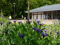 Informacje na temat miasta Polnica