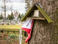 Mogiła żołnierzy poległych za Ojczyznę w Pratulinie