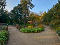 Alpinarium w Toruniu