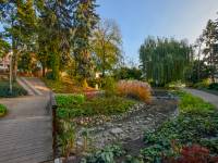 Alpinarium w Toruniu