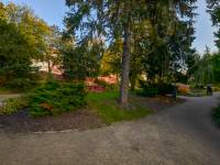 Alpinarium w Toruniu