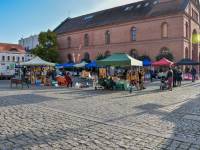 Rynek Nowomiejski w Toruniu