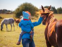 Stadnina Ta Merij Arabians nad Bugiem