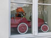 Muzeum Zabawek i Zabawy w Kielcach