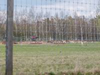 Zwierzyniec Bałtowski