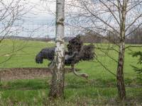 Zwierzyniec Bałtowski