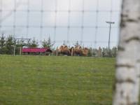 Zwierzyniec Bałtowski