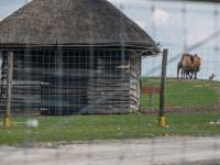 Zwierzyniec Bałtowski