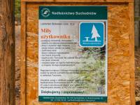 Oczy Ziemi - Suchedniów