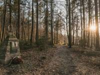 Miejsce Masowych Straceń i Pochówku - Święta Katarzyna