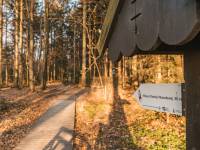 Miejsce Masowych Straceń i Pochówku - Święta Katarzyna