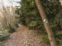 Szlak pieszo-rowerowy: Śladem kolejki wąskotorowej