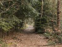 Szlak pieszo-rowerowy: Śladem kolejki wąskotorowej