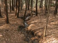 Szlak pieszo-rowerowy: Śladem kolejki wąskotorowej