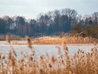 Zalew Terebela w Witulinie