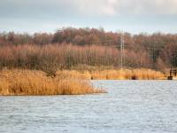 Zalew Terebela w Witulinie