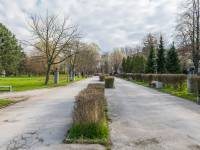 Aleja Sław w Kielcach