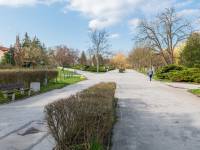 Aleja Sław w Kielcach