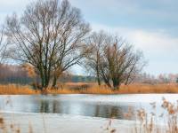 Zalew Terebela w Witulinie