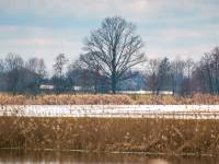 Zalew Terebela w Witulinie