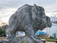 Pomnik Dzika w Kielcach