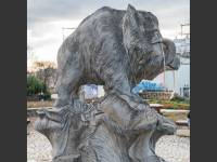 Pomnik Dzika w Kielcach