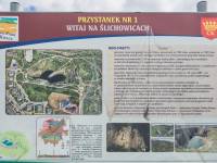 Rezerwat Skalny Ślichowice w Kielcach