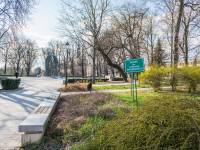 Skwer Stefana Żeromskiego w Kielcach