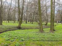 Park Miejski im. Marszałka Józefa Piłsudskiego